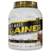 Big mass gainer 1kg GSN prise de masse musculaire rapide Tunisie vitaminshop.tn